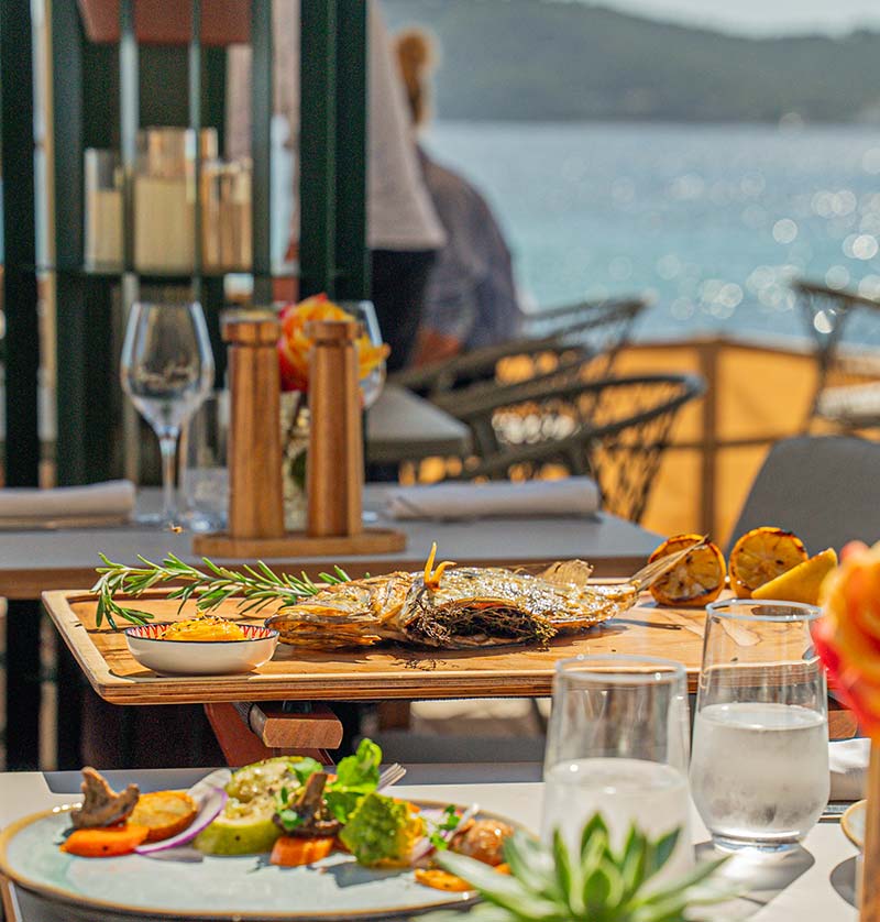 Évasions Marines Évasions Marines